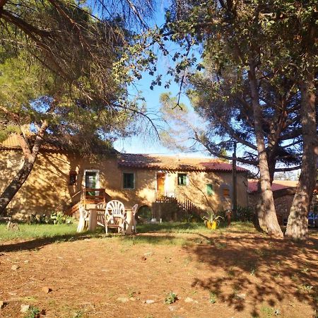 Maison Entiere Hameau Monastir Del Camp Passa Exterior photo