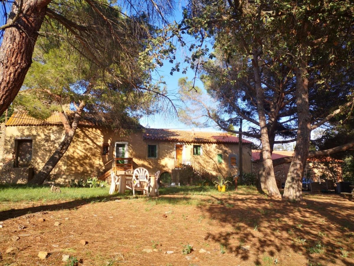 Maison Entiere Hameau Monastir Del Camp Passa Exterior photo